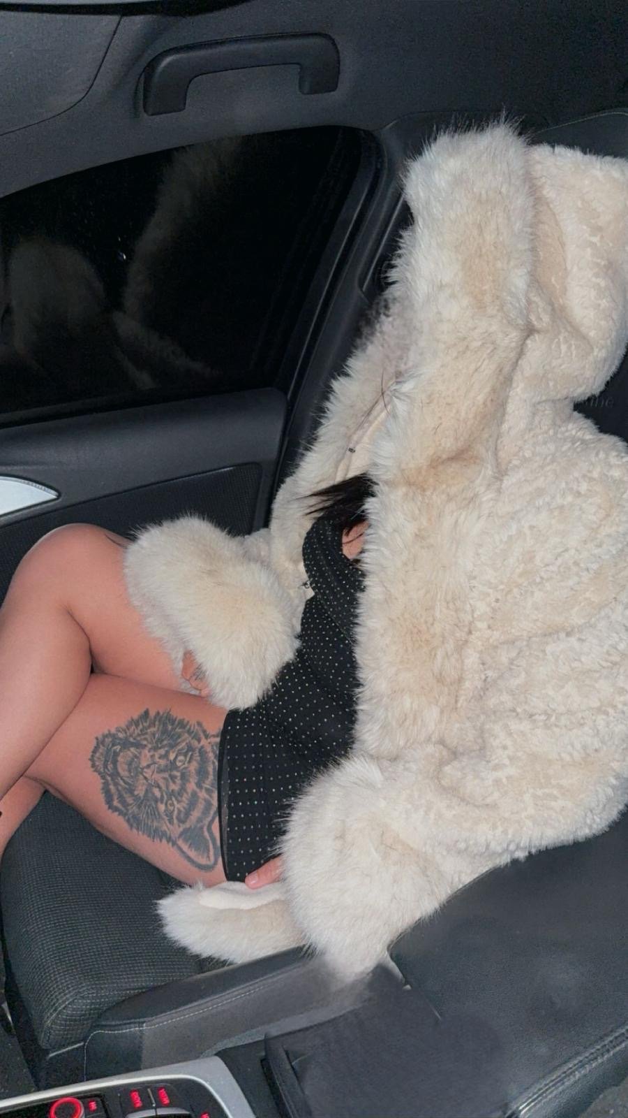 Anais de Alpes-Maritimes, France